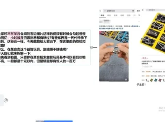 新手必学：益智玩具项目盈利课程，轻松月入5000+