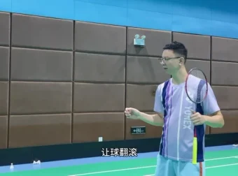 《羽毛球技术精要：辰南职业教练20课刻意训练指南》