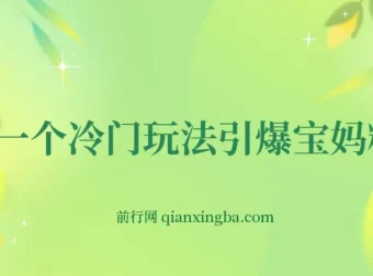 宝妈粉引流变现冷门玩法项目介绍