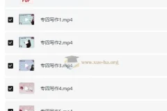 lili 专四写作课程