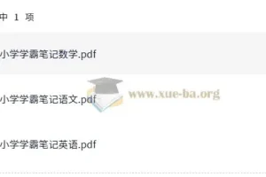 小学学霸笔记：语数英全学科学习资料