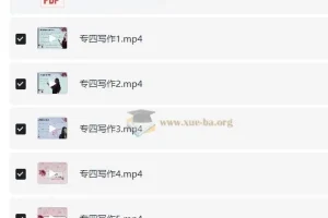 lili 专四写作课程