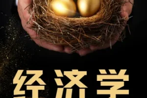 梁捷《一平方公里内的经济学》（完结）