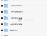 陈心老师小学语文满分作文课