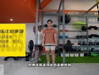 小萝卜四分化增肌训练高阶教程：专业健身方案