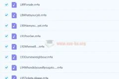 喜马拉雅喜课杨芮新概念英语课程