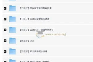 五匪子高中语文全题型方法课程