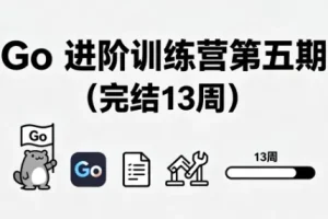 Go 进阶训练营第五期（完结，共13周）