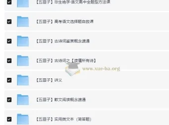 五匪子高中语文全题型方法课程