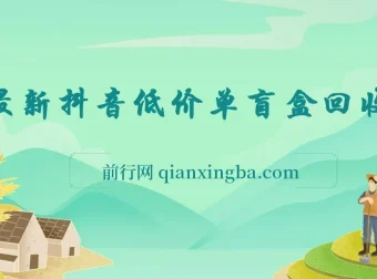 最新抖音低价单盲盒回收项目：单机日利润可观，纯绿色不封号