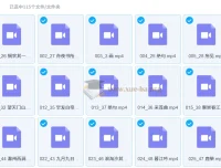 白马老师诗词课：115节经典诗词精讲课程
