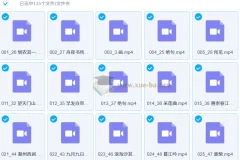 白马老师诗词课：115节经典诗词精讲课程
