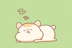 21天高效休息法训练营：基于正念冥想的系统训练课程