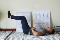 麦大湿细腰训练全攻略：从解剖到进阶的系统教程