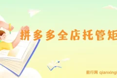 拼多多全店托管矩阵课：盈利动销与高效计划设置教程