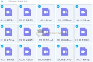 白马老师诗词课：115节经典诗词精讲课程