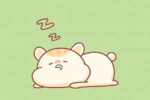 21天高效休息法训练营：基于正念冥想的系统训练课程