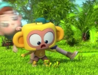 斑马百科：植物科学启蒙课（全14讲）