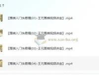 《围棋入门快易精：王元围棋视频讲座》