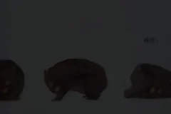 小奇绘本故事大全：40+经典儿童绘本资源