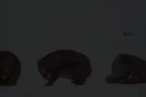 小奇绘本故事大全：40+经典儿童绘本资源