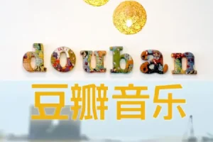 豆瓣音乐TOP热榜经典专辑：数千首无损音乐合集