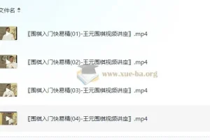 《围棋入门快易精：王元围棋视频讲座》