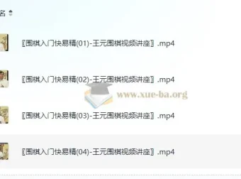 《围棋入门快易精：王元围棋视频讲座》