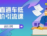 直通车低价引流课：系统化学习直通车精准投放（14节课）