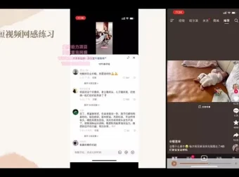 录客大果传媒抖音短视频底层逻辑全案拆解视频课程