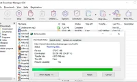 Internet Download Manager (IDM) 中文特别版