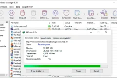 Internet Download Manager (IDM) 中文特别版