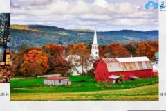 云舒写大语文：1-11年级名著导读视频课程全集