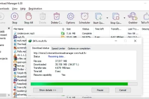 Internet Download Manager (IDM) 中文特别版