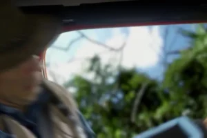 安迪的水上动物大冒险：30集全高清科普动画