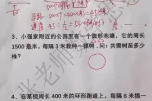 《张老师小学奥数L4进阶：30讲攻克行程/鸡兔/计数难题》