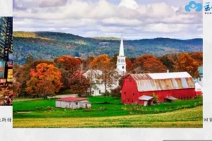 云舒写大语文：1-11年级名著导读视频课程全集