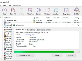Internet Download Manager (IDM) 中文特别版