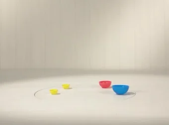 BBC《趣趣知知鸟》全50集早教启蒙动画