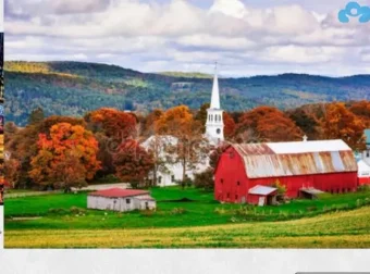 云舒写大语文：1-11年级名著导读视频课程全集