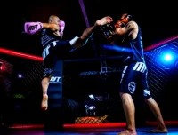 陈鹤皋无限制格斗术：实战导向的厉害防身术