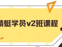 斜杠蜻蜓学员v2班电商运营课程