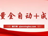 公众号付费文章：流量与成交全自动保姆级玩法