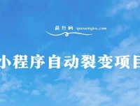 小程序自动裂变项目：全自动推广，收益稳定在500 – 2000+