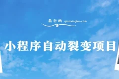 小程序自动裂变项目：全自动推广，收益稳定在500 – 2000+
