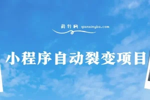小程序自动裂变项目：全自动推广，收益稳定在500 – 2000+