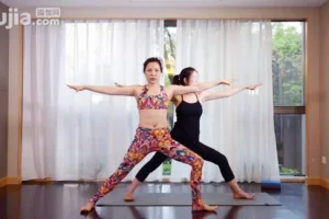 杨淇五行经络瑜伽养生理疗全教程：融合中医与瑜伽的养生之选