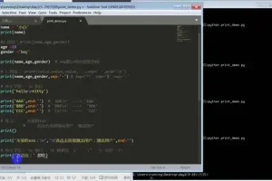 从零到精通：Python全栈开发实战教程