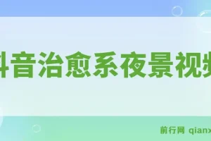 抖音治愈系夜景视频起号项目：小白轻松掌握，多种变现途径