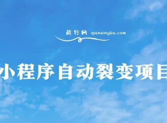 小程序自动裂变项目：全自动推广，收益稳定在500 – 2000+